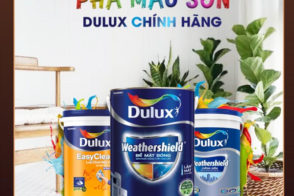 Máy pha sơn Dulux chính hãng